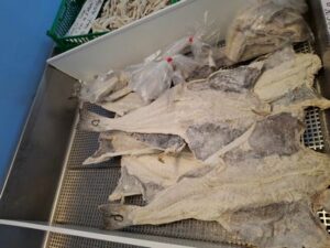 Morues entiéres et à la coupe 400x300