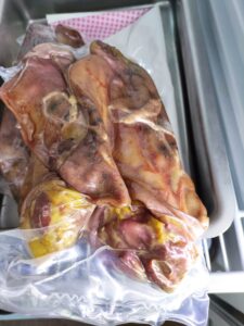 FB_IMG_1759989901930