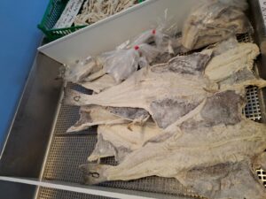 Morues entiéres et à la coupe