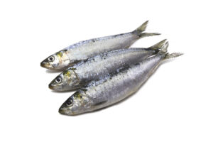 sardinha-01