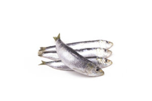 sardinha-pequena-01